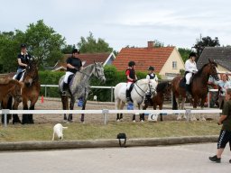 165983_10150929580833585_1529940792_n_web